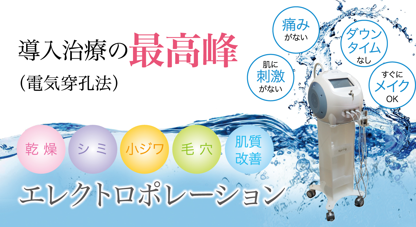 導入治療の最高峰(電気穿孔法)痛み がない 肌に 刺激 がない ダウン タイム なし すぐに メイク OK 乾 燥 シ ミ 小ジワ 毛 穴 肌質 改善 エレクトロポレーション